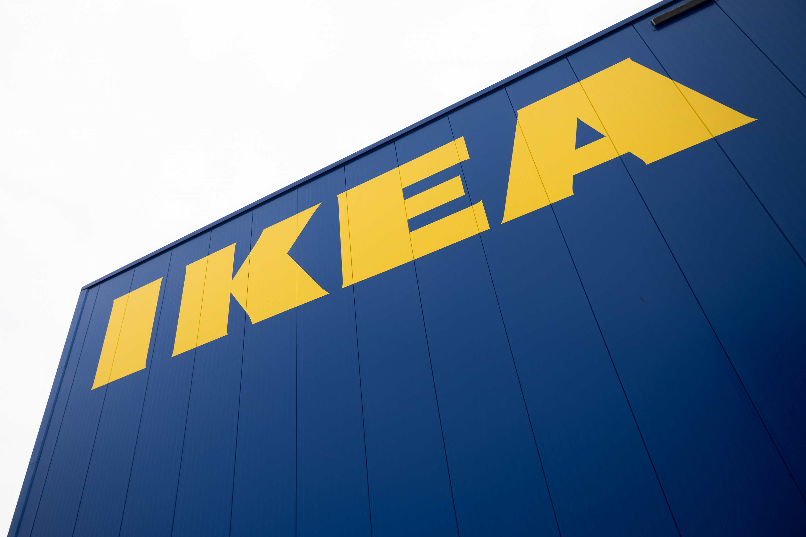 Стало известно, что будет производить IKEA в Ленобласти