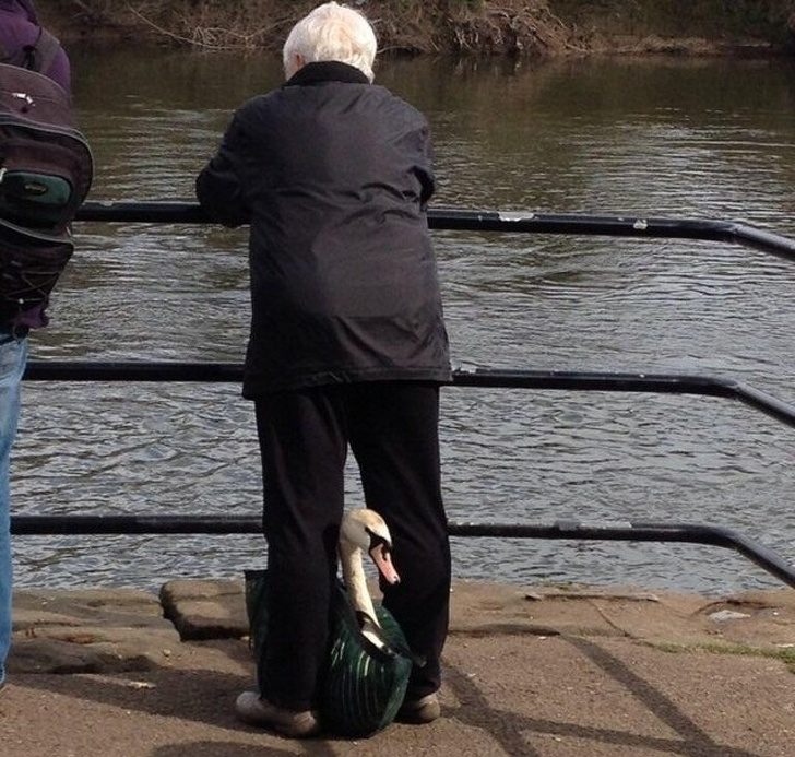 17 персонажей, от вида которых прохожие были под впечатлением 17 персонажей, от вида которых прохожие были под впечатлением