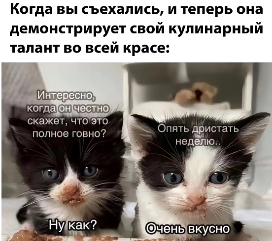 – Я решила начать новую жизнь! – Перестала жрать по ночам? – Не настолько новую 