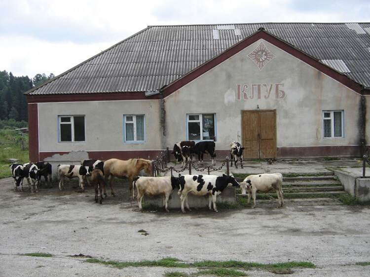 Едем, едем в соседнее село на дискотеку!