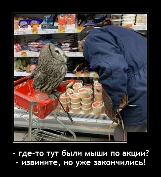 Новые демотиваторы Новые демотиваторы демотиваторы