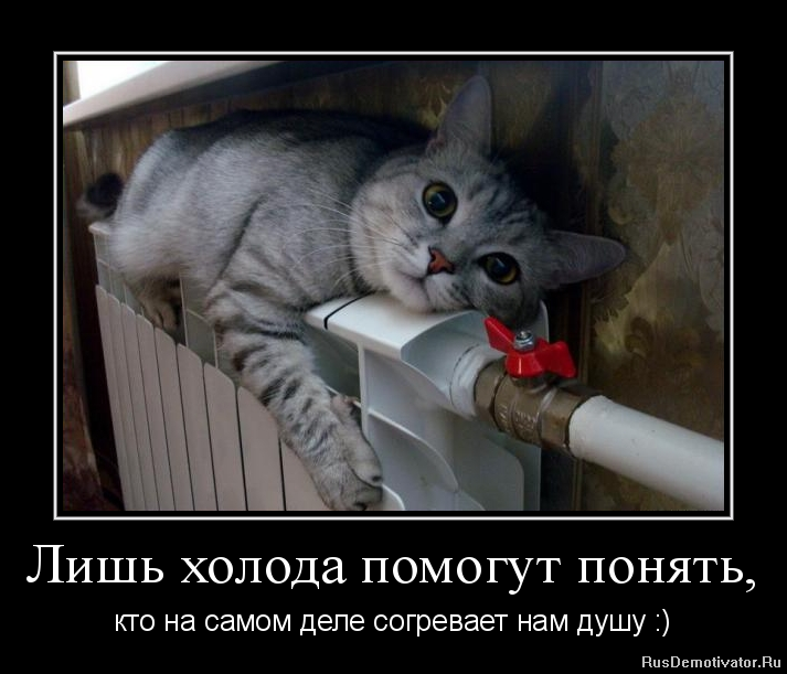 Оформить, вот это холодина картинки прикольные