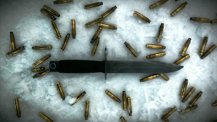 Прикольные фотографии которые поднимут настроение