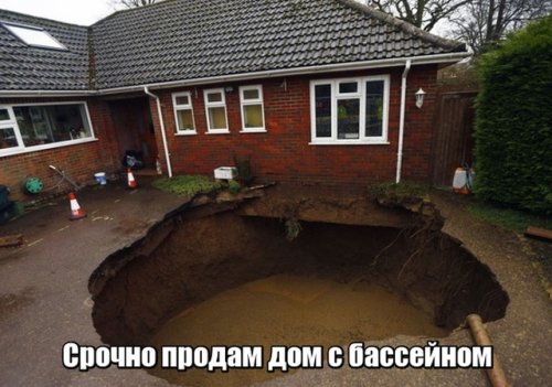 Новые прикольные картинки и фото Новые прикольные картинки и фото