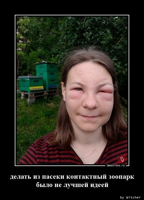 Пятничные демотиваторы: «Вот оно — истинно мужское эскимо!» 