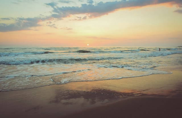 Петербургская компания благоустроит пляж «Ласковый» почти за 166 млн