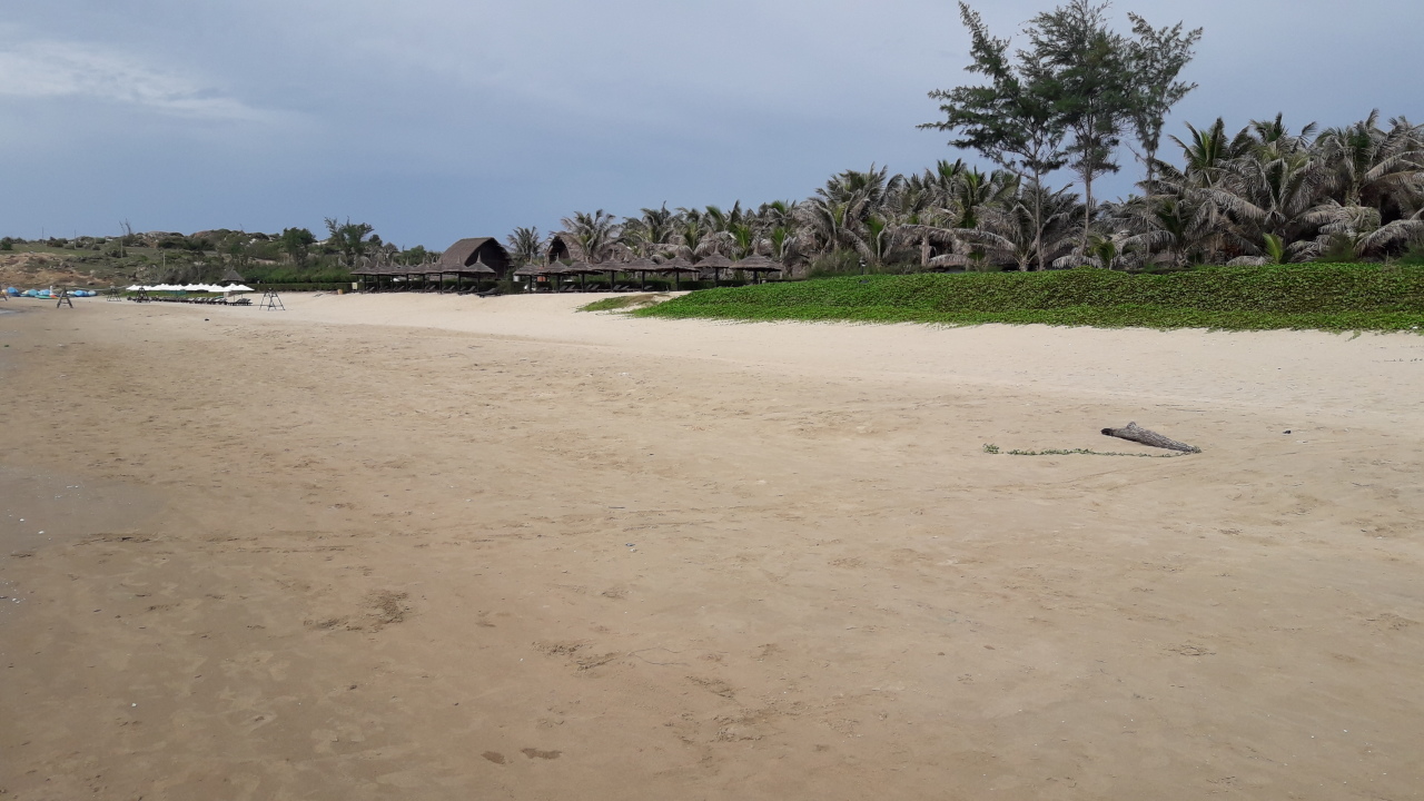 Вьетнам. Прилет Вьетнам. Прилет заграница,путешествие,страны,туризм