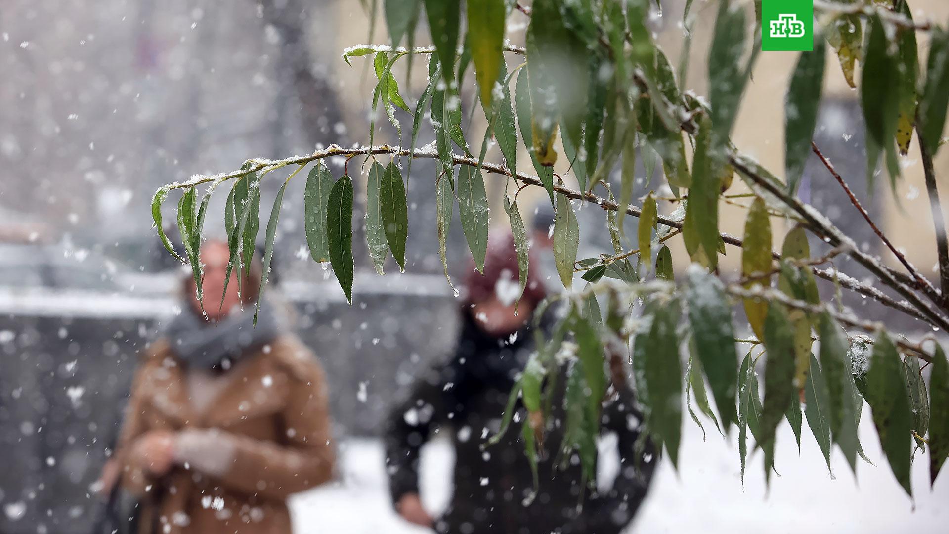 Синоптики: первый снег в Москве ожидается в конце октября