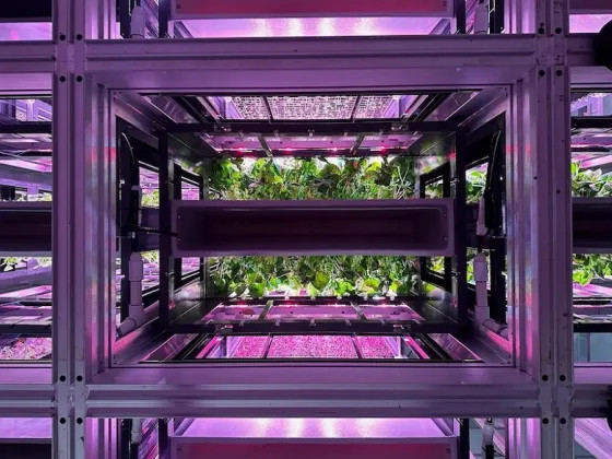автоматизированная система Opollo Farm выращивает свежую зелень в два раза быстрее и ближе к потребителю