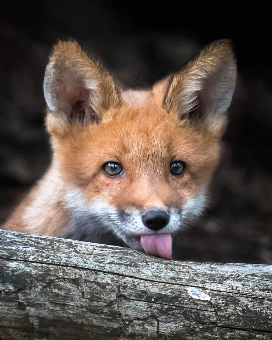 Финская природа в объективе финского фотографа Финская природа в объективе финского фотографа