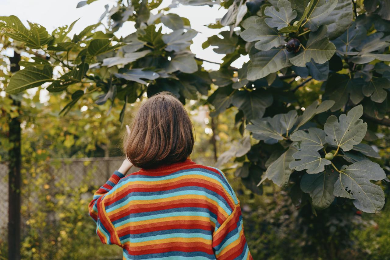 Оранжерея, термы и экспедиция в парк: чем занять ребенка на майские праздники — 10 идей для всей семьи можно, время, ребенку, чтобы, будет, майские, ребенка, ребенком, резиновые, погода, семьи, минут, игроков, ребенок, изготовление, Поищите, факты, оранжерея, посмотреть, Устройте