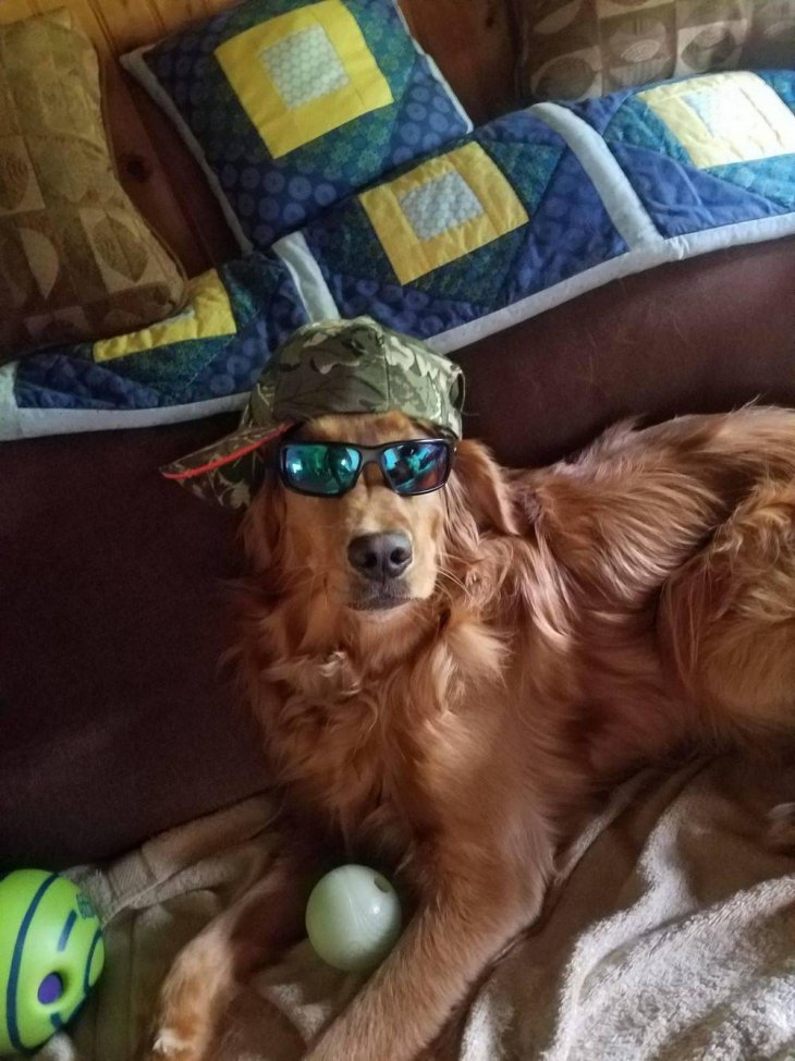 Прикольные фотографии которые поднимут настроение