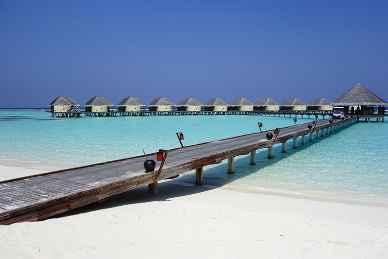 Russo touristo пандемия нипочем: Конкурентами Сочи стали Мальдивы и Сейшелы россия