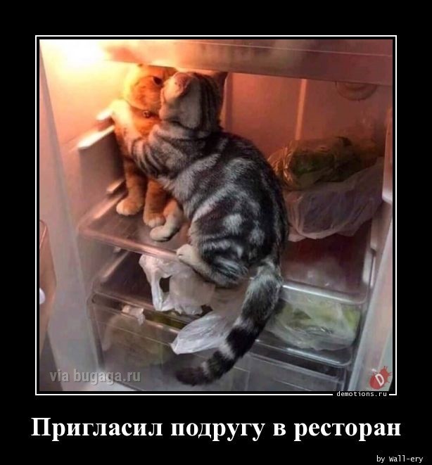 Постоянная рубрика для любителей демотивирующих картинок! Несём хорошее настроение в каждый монитор! 