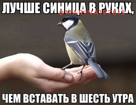 Те, кто хоть раз пил дешевые портвейны, знает, что на самом деле число дьявола — это 777 город Пенза г,о,[95246842],г,Пенза [1011123],Пензенская обл,[1011073]
