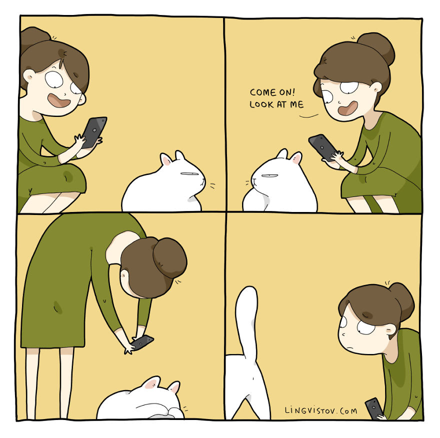 18-komiksov-kotorye-pokazhut-chto-znachit-zhit-s-koshkoj_007
