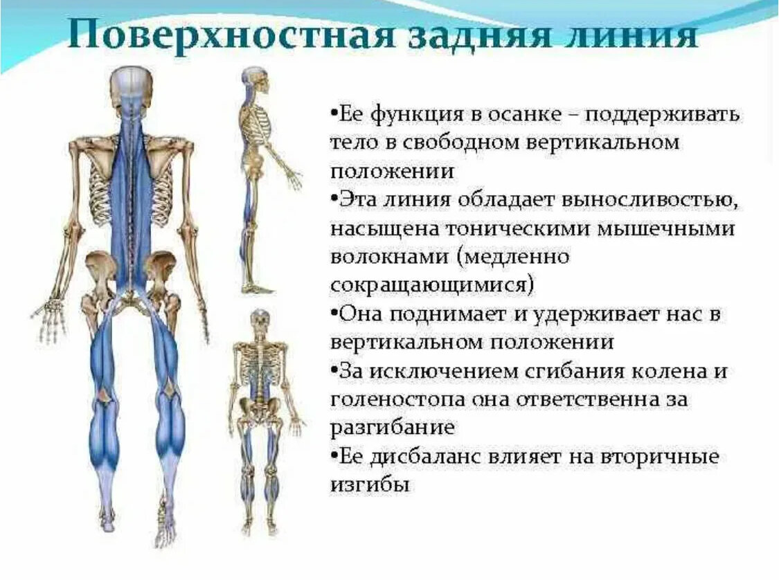 А вы стоите на одной ноге? А ведь одно время это было достаточно популярным упражнением, которое может принести пользу нашему здоровью и даже улучшить молодость лица.-2