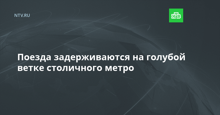 Поезда задерживаются на голубой ветке столичного метро