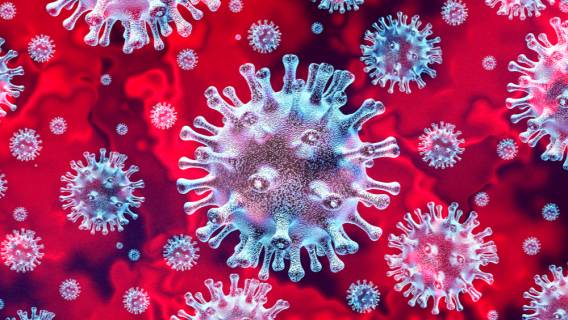 В России установлен новый рекорд количества смертей от коронавируса Общество