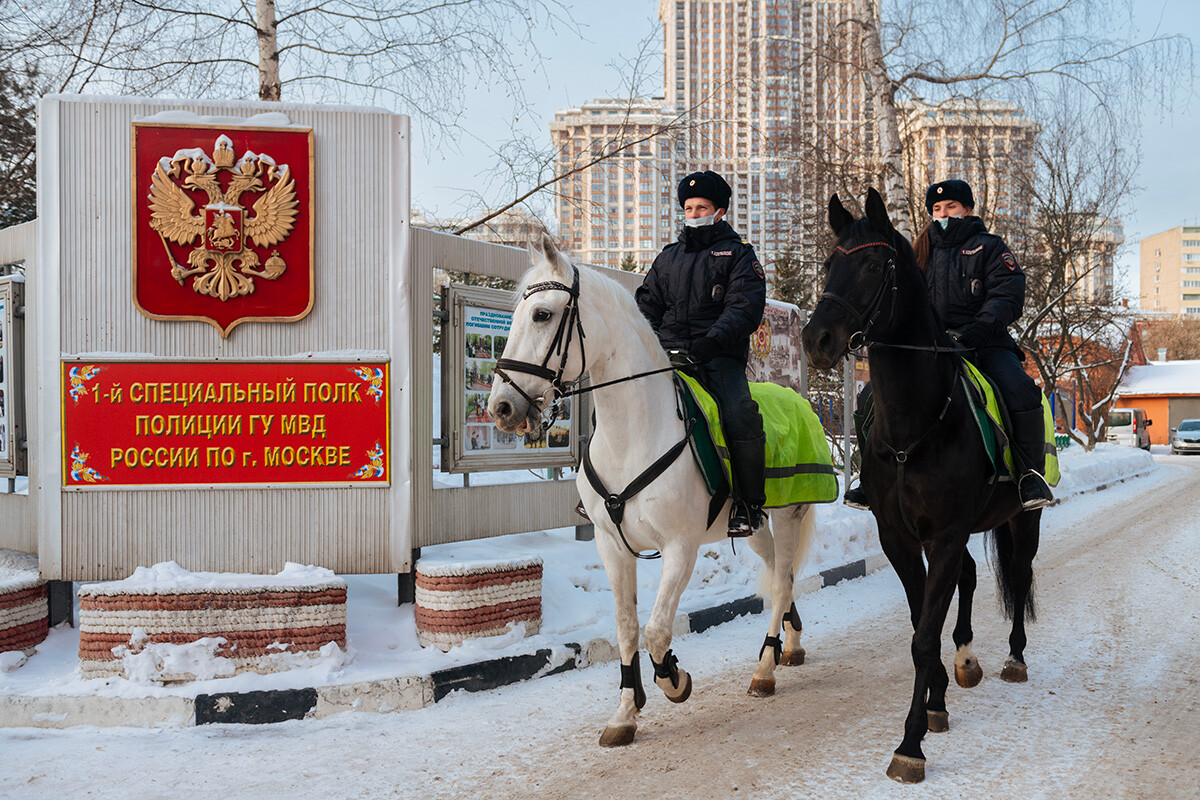 Первая особая. Конная полиция Кисловодск. Конная полиция Казань. Конная полиция Кузьминки. Конная полиция на ВДНХ.