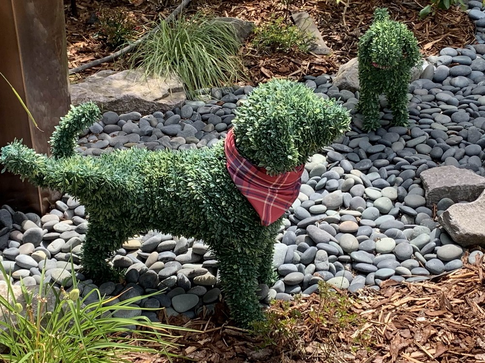 Подборка интересных и веселых картинок 14.07.19 курьезы,приколы,юмор