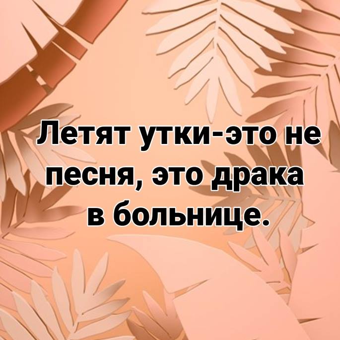 Жена собирается лететь в командировку анекдоты