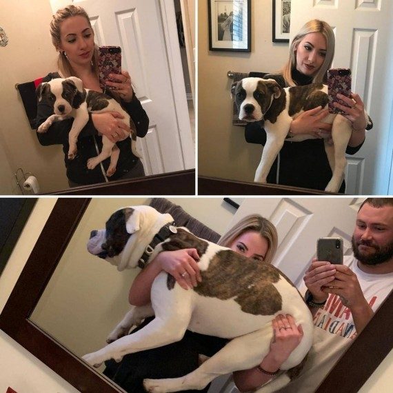 Мегапозитивная подборка дня Мегапозитивная подборка дня