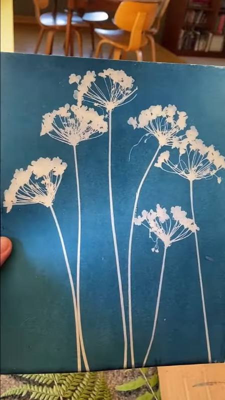 Биофильный декор