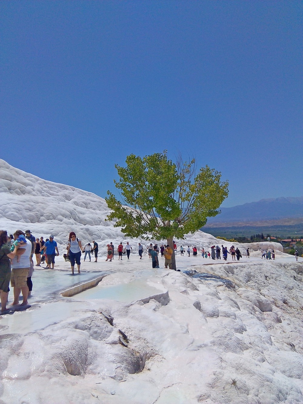 Подборка интересных и веселых картинок 14.07.19 курьезы,приколы,юмор