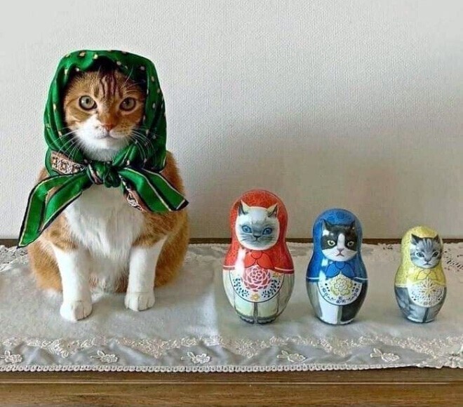 22 умильные кошки в платочках