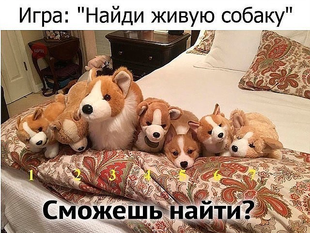 Что такое сила тока? Это когда ума нет, а есть тока сила Что такое сила тока? Это когда ума нет, а есть тока сила анекдоты,веселые картинки,приколы,юмор