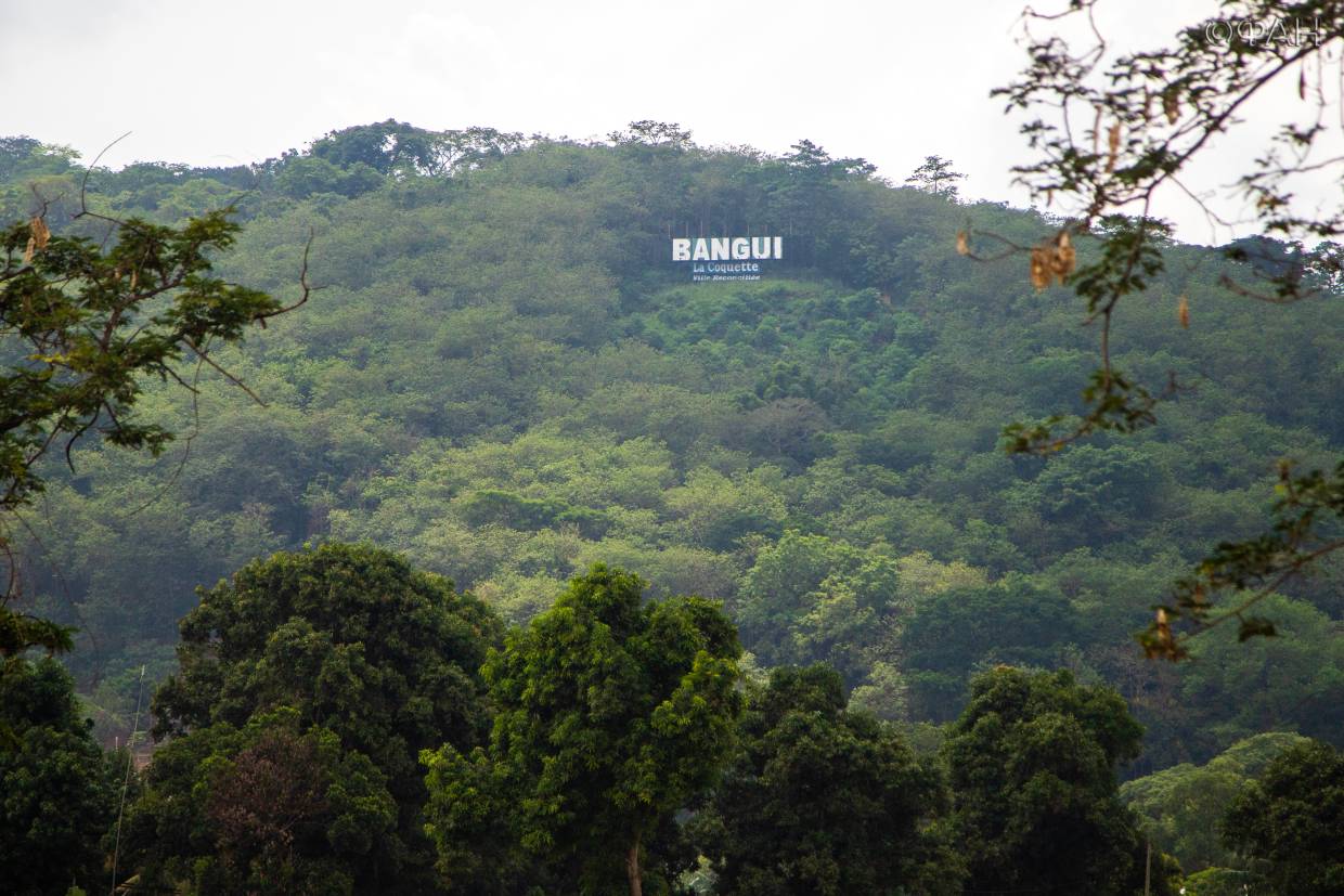 Власти ЦАР объявили об отмене санкций на экспорт драгоценных камней Весь мир