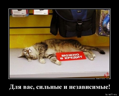 Сборник демотиваторов для хорошего настроения 