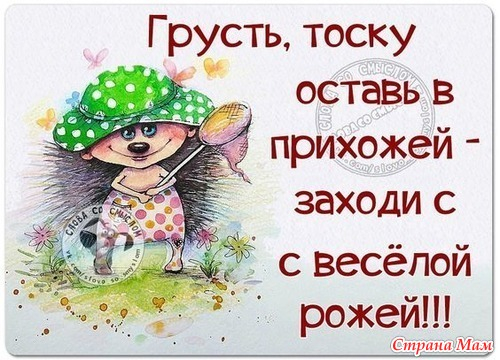 Диванные истины Диванные истины демотиваторы,юмор