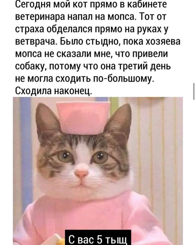 Милая моя, единственная, нежная, сладкая, добрая, знойная... когда, говорит, девчонок, нашел, Плохо, кнопочки, устраивает, Картер, Брежнев, нажму, упадет, бомба, потеряла, хорошо, кошелек, Доктор, люблю, экстремистов, российская, жизнь