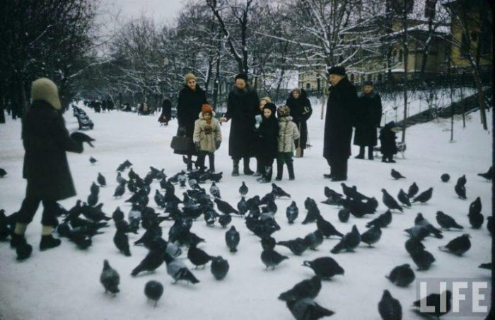 Московские дети зимой 1960-го года История,общество