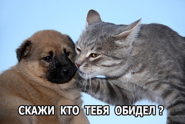 Обидели малявок. Не стыдно?