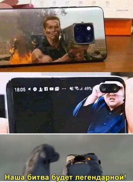 Подборка прикольных картинок  смешные картинки