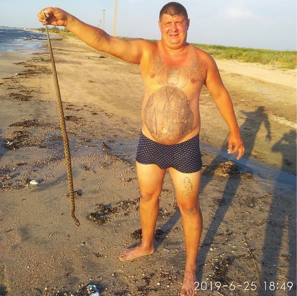 Змеи в Азовском море отдых,отпуск