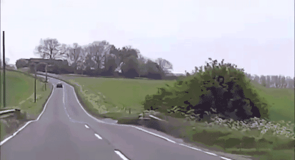 Господа, вы как хотите, а я за руль больше не сяду! смешные картинки