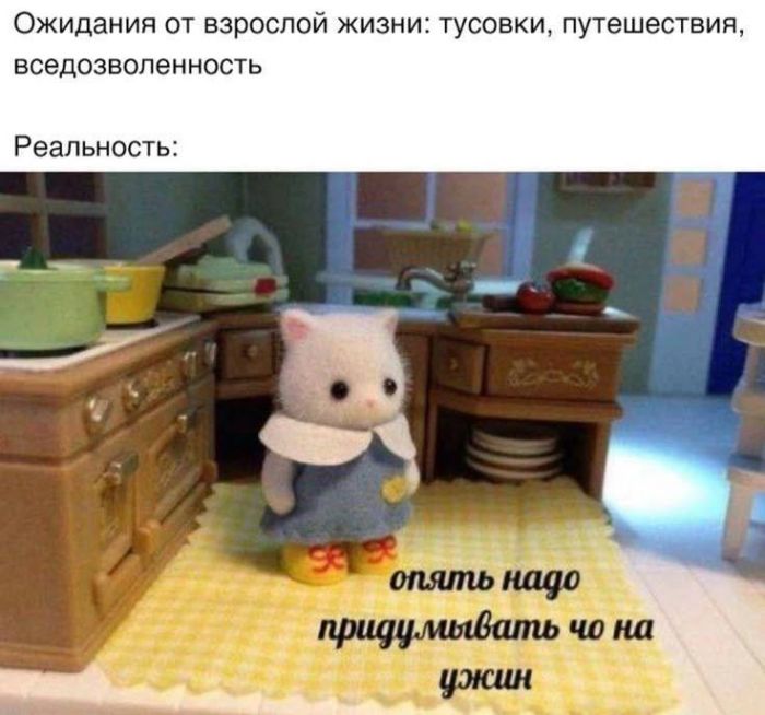 Юмор для тех, кто уже повзрослел и понял, что «баланс» - это когда и холодильник полный, и счёт не в минусе 