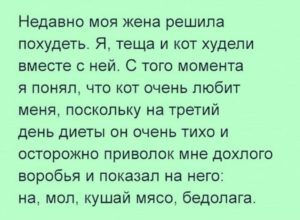 17 коротких историй, которые точно поднимут вам настроение 