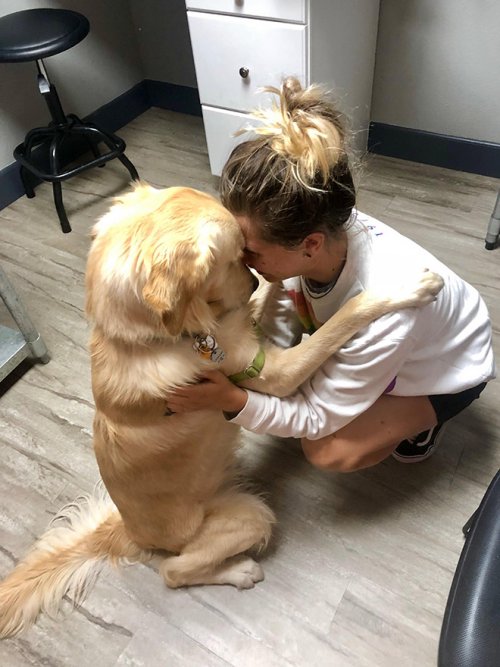 20 драматических фотографий с собаками, которых привезли к ветеринару 