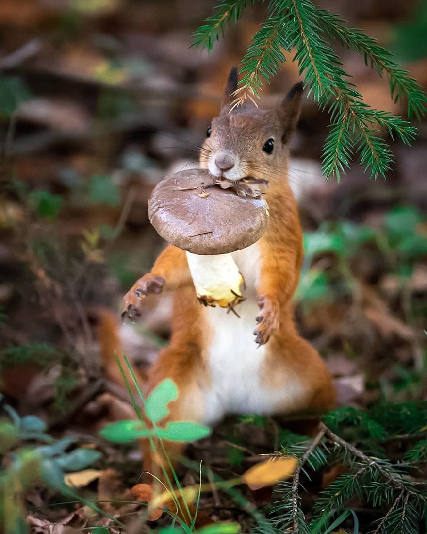 Финская природа в объективе финского фотографа Финская природа в объективе финского фотографа