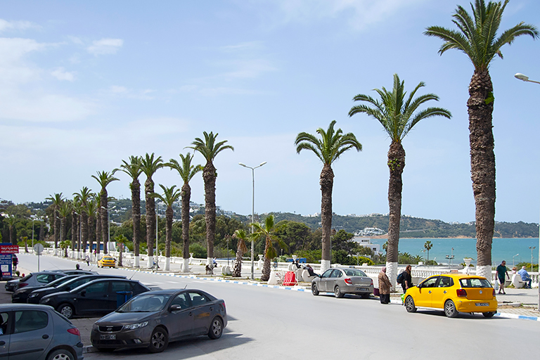 Как пандемия и госпереворот превратили Тунис из рая в ад для туристов Как пандемия и госпереворот превратили Тунис из рая в ад для туристов геополитика