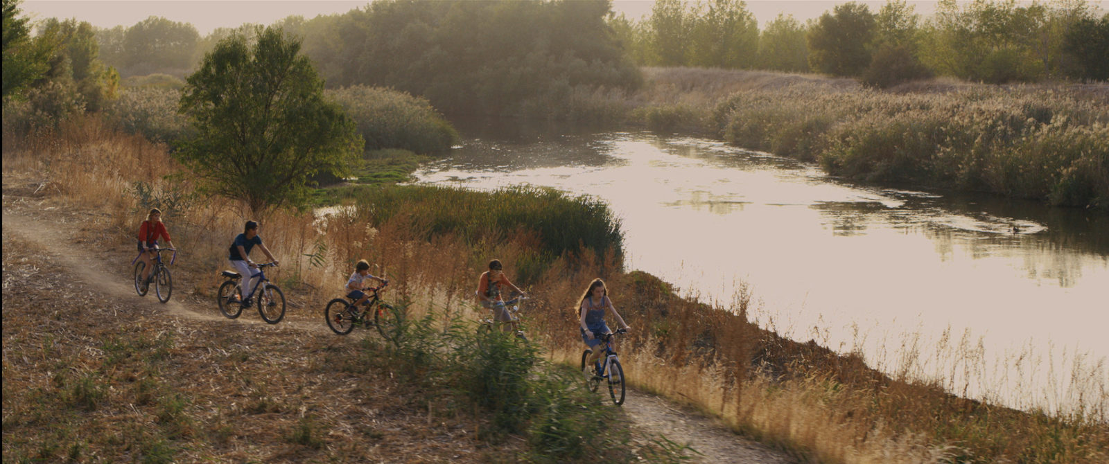  Не будь букой