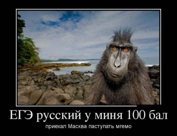 Иду сегодня по парку, гуляю. Смотрю — велосипедист едет... Весёлые,прикольные и забавные фотки и картинки,А так же анекдоты и приятное общение