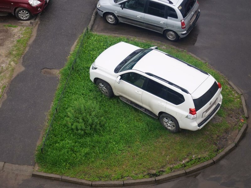 Вот хозяева двора, в голове у них дрова Вот хозяева двора, в голове у них дрова