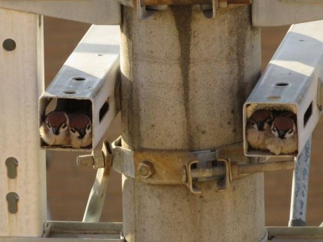 Фотоподборка четверга Фотоподборка четверга