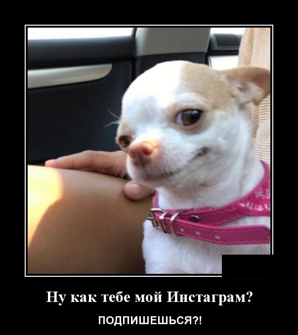 Демотиваторы 